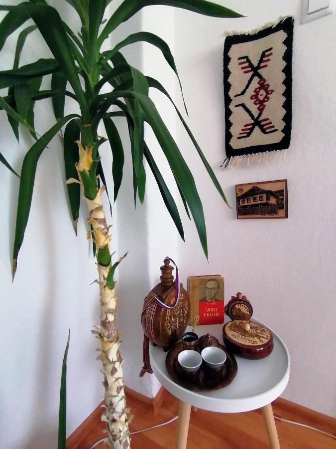 Apartment Danijel วิเชกราด ภายนอก รูปภาพ